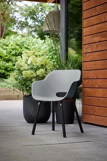 Noa Schalenstuhl - 2er Pack - 56,5x55x80 cm -